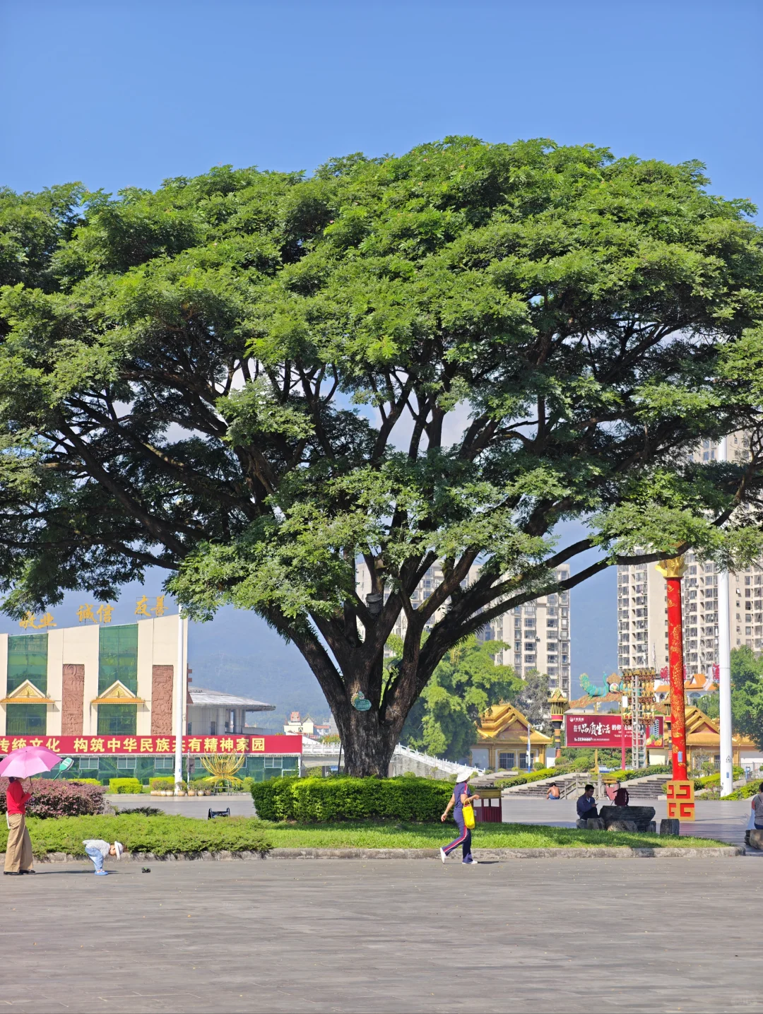 德宏州·芒市：一座不输版纳的边陲小城