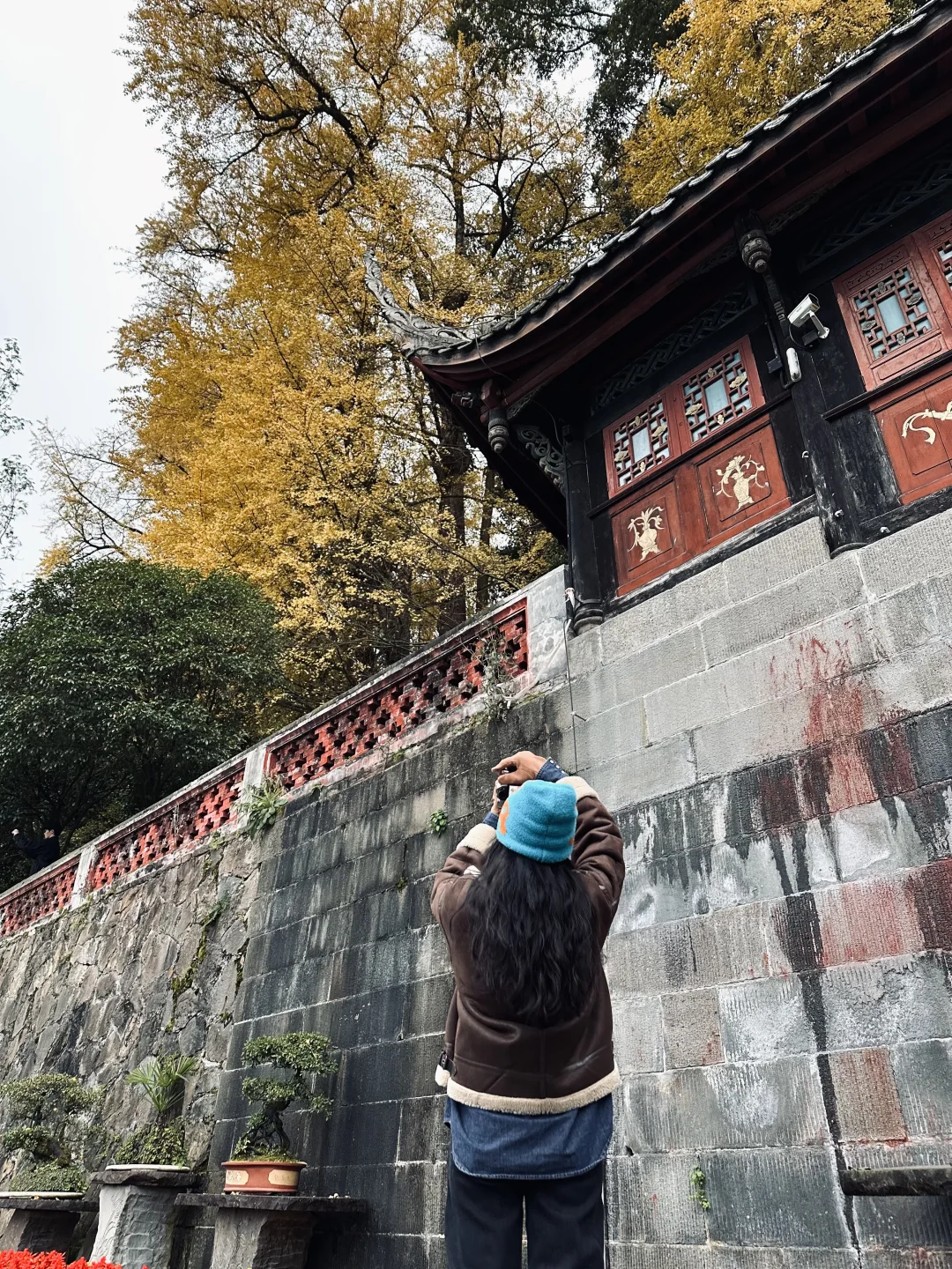花一个下午去领略都江堰的古韵与自然🍂⛰️