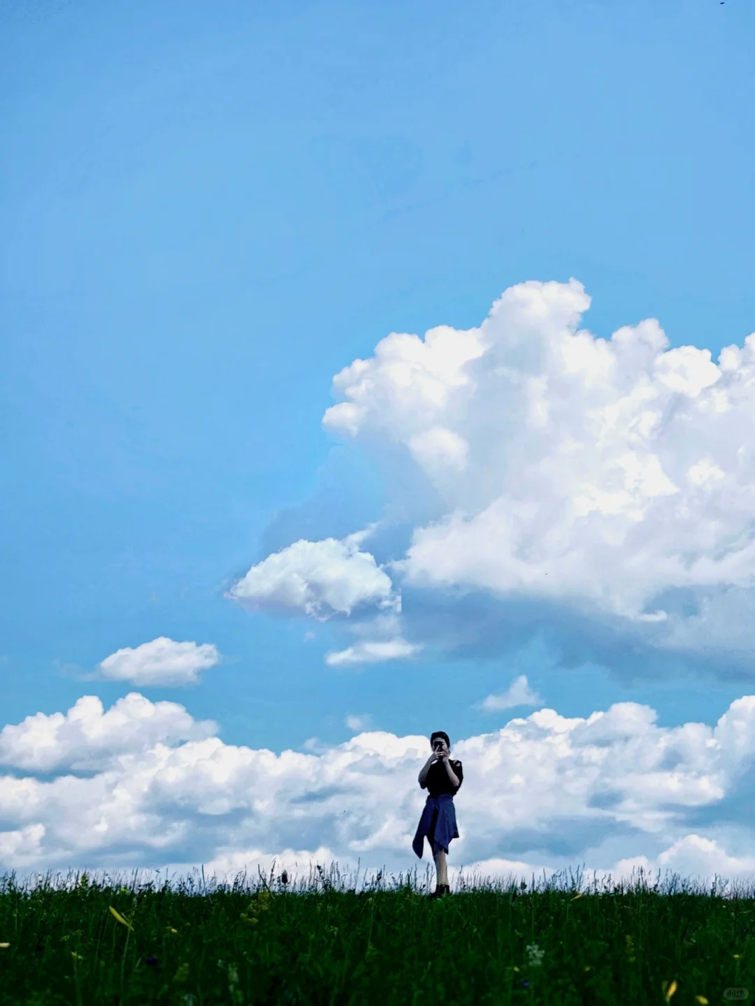 夏天总要去一次大草原吧🐎