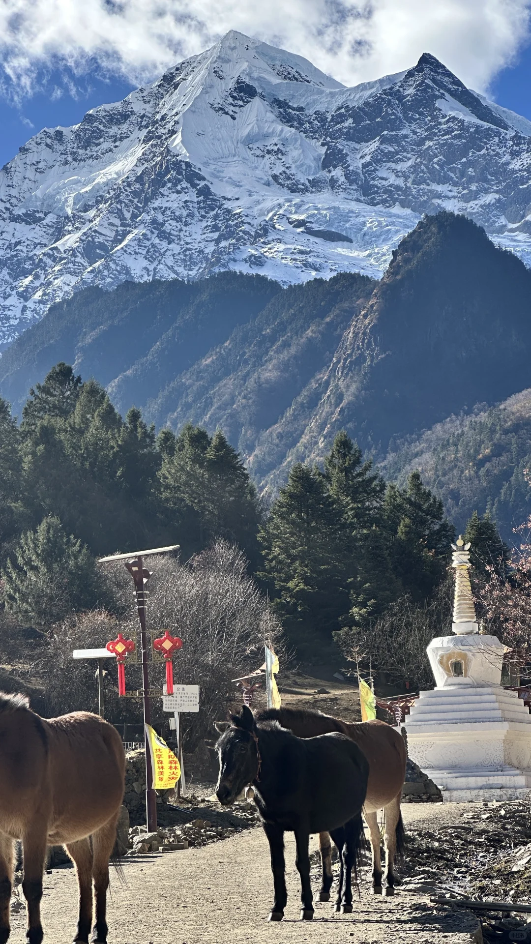 天堂在左👈……雨崩在右👉