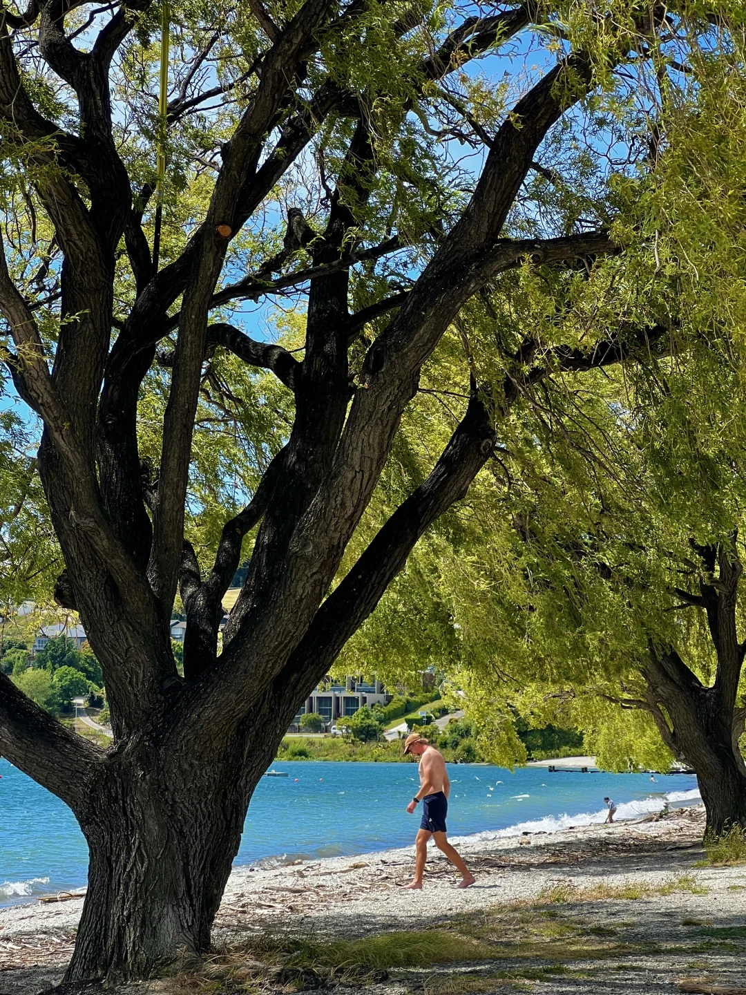 新西兰的每一帧🌈都让live图变得更有意义