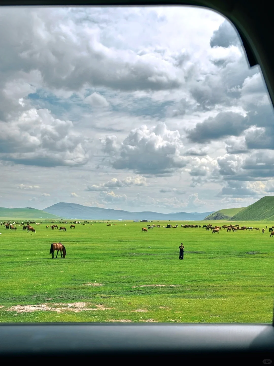 夏天总要去一次大草原吧🐎