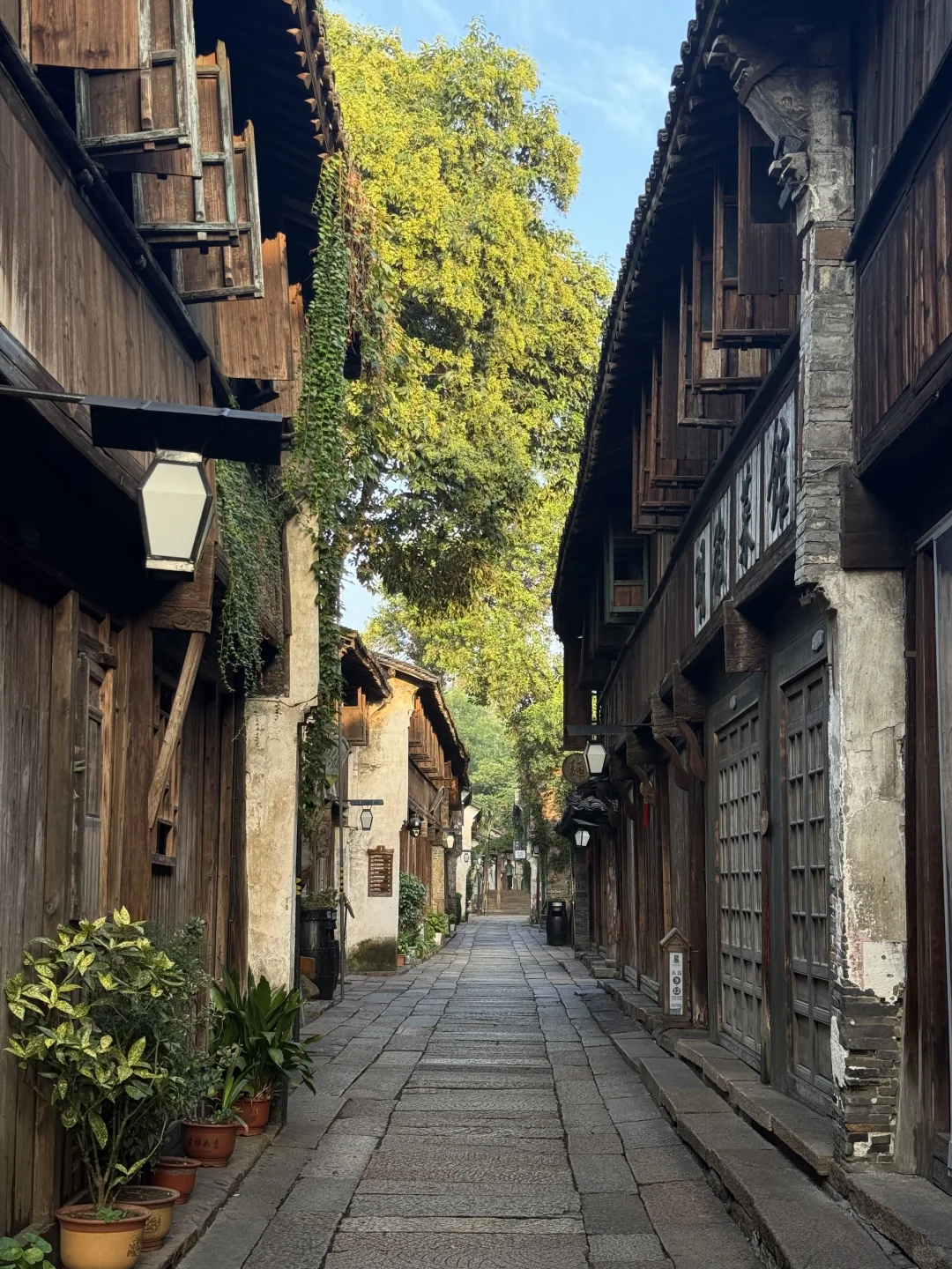 🇲🇾🇨🇳 旅游笔记｜我眼中的乌镇 🍃