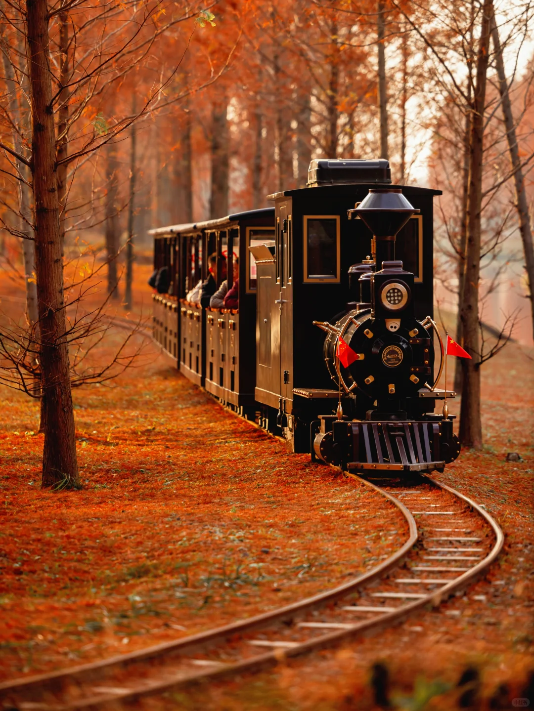 美到失语‼️我在初冬的盐城找到了童话森林