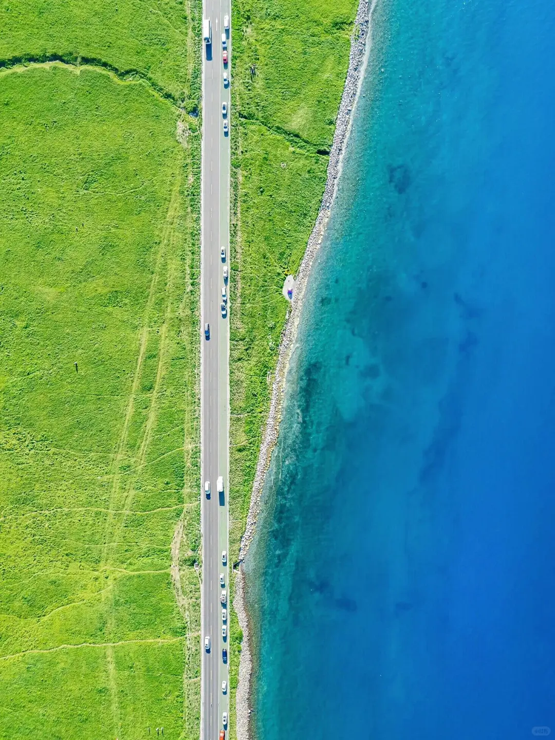 或许这就是你所向往的新疆旅游包车🫰