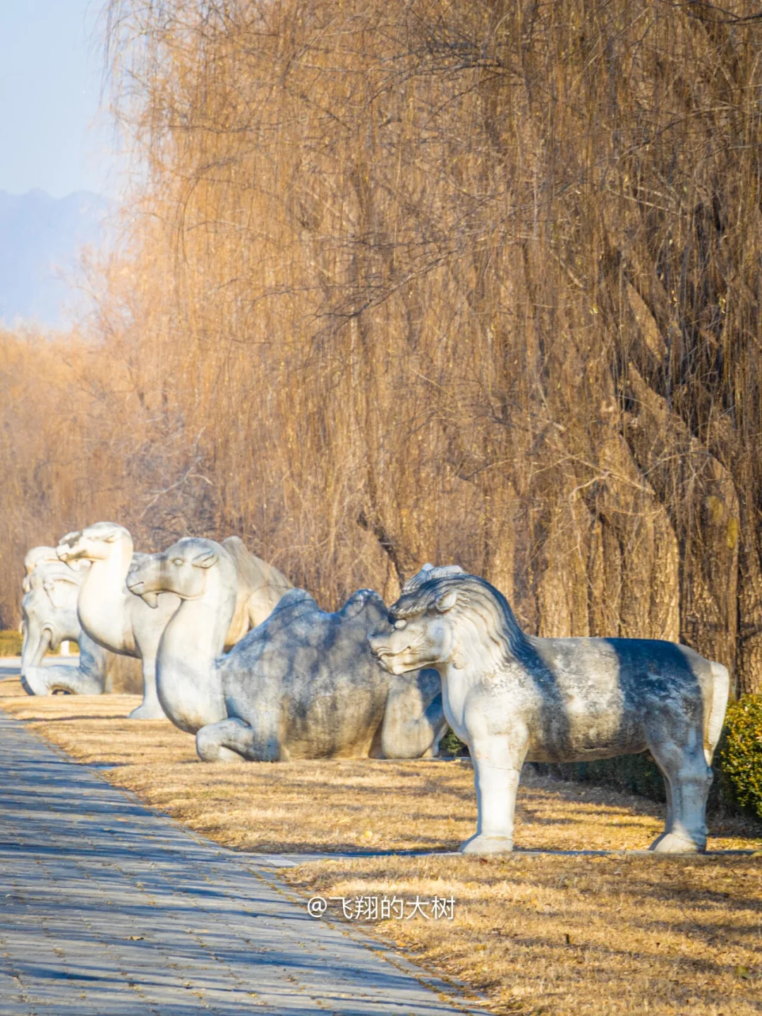 明十三陵北京旅游最全攻略！终于有人讲清楚