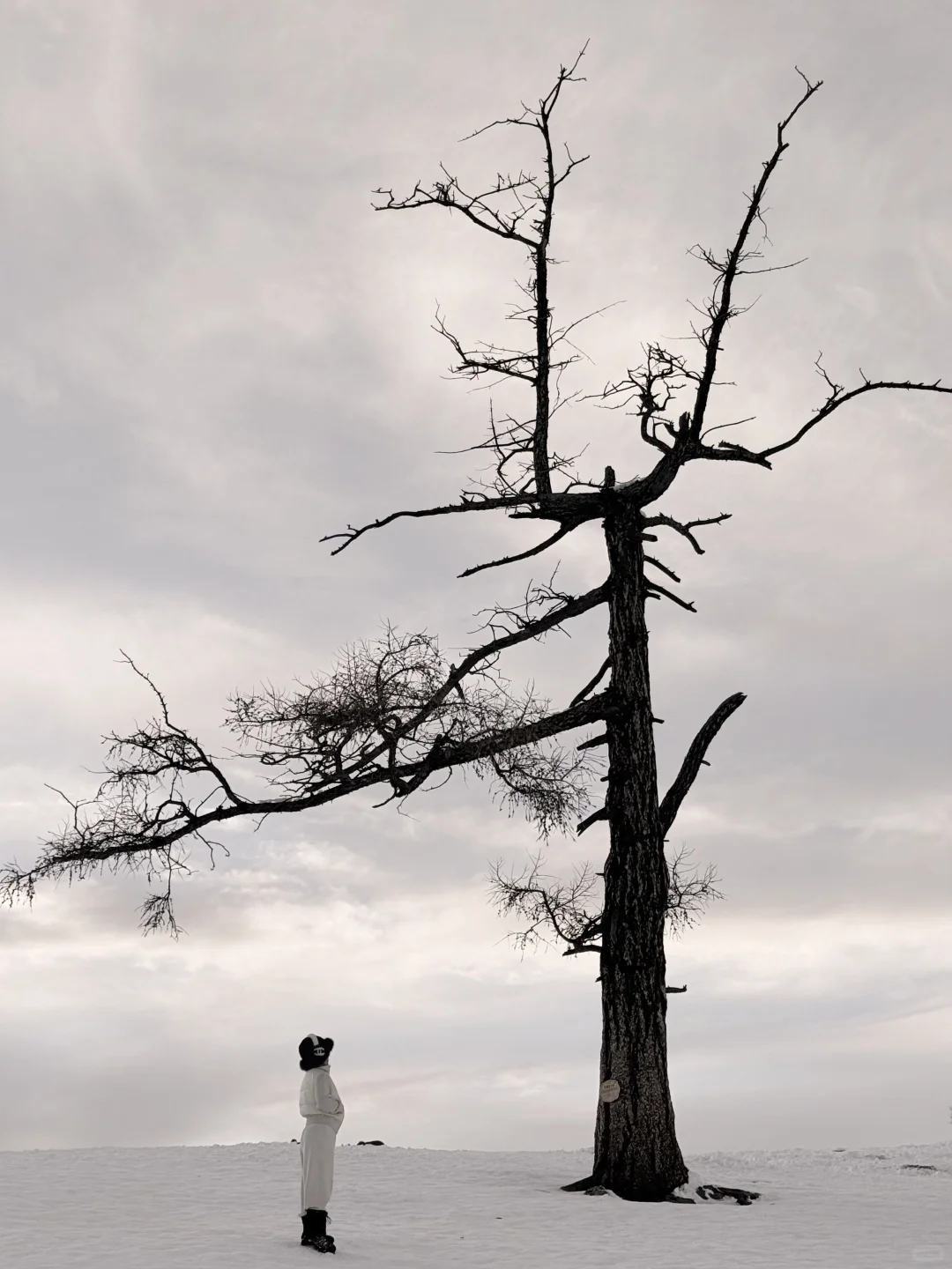 为了这18张图，我特地飞了一趟阿勒泰（附攻略