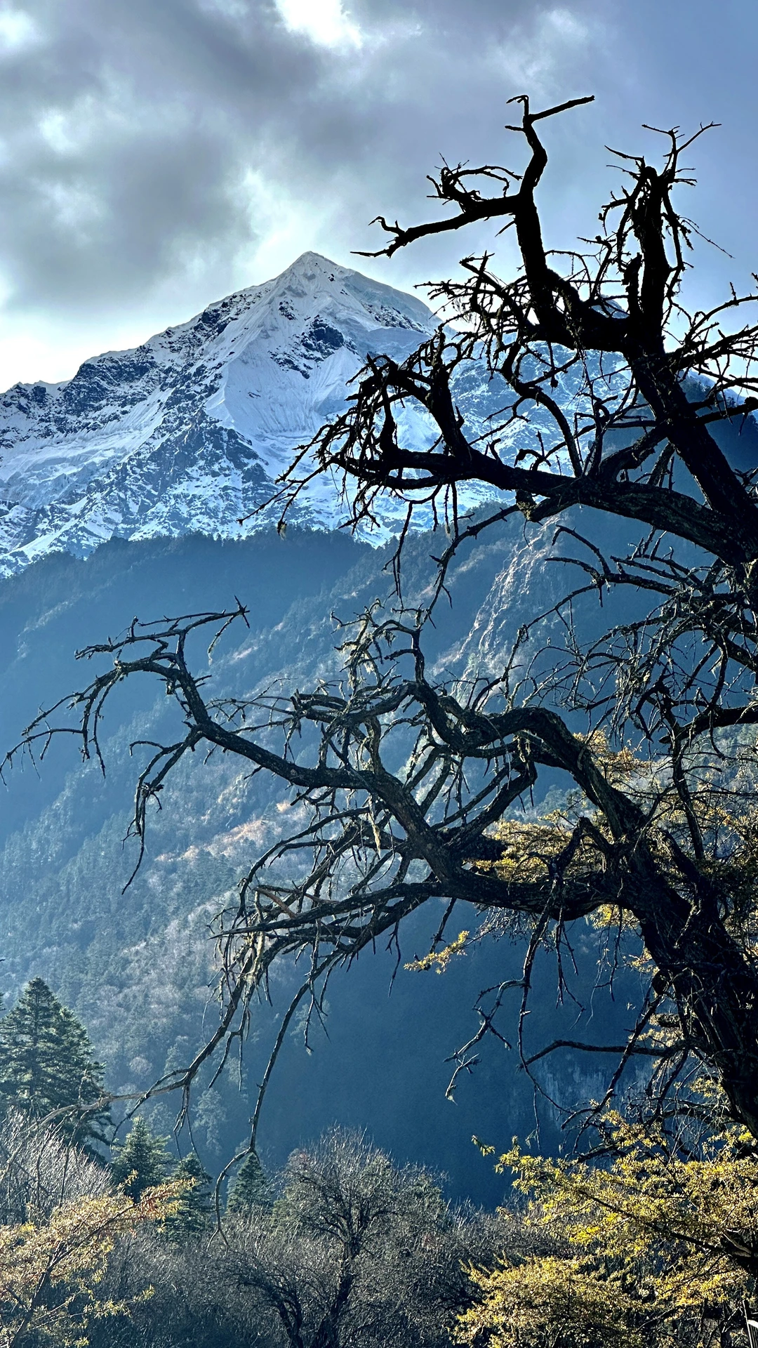 天堂在左👈……雨崩在右👉