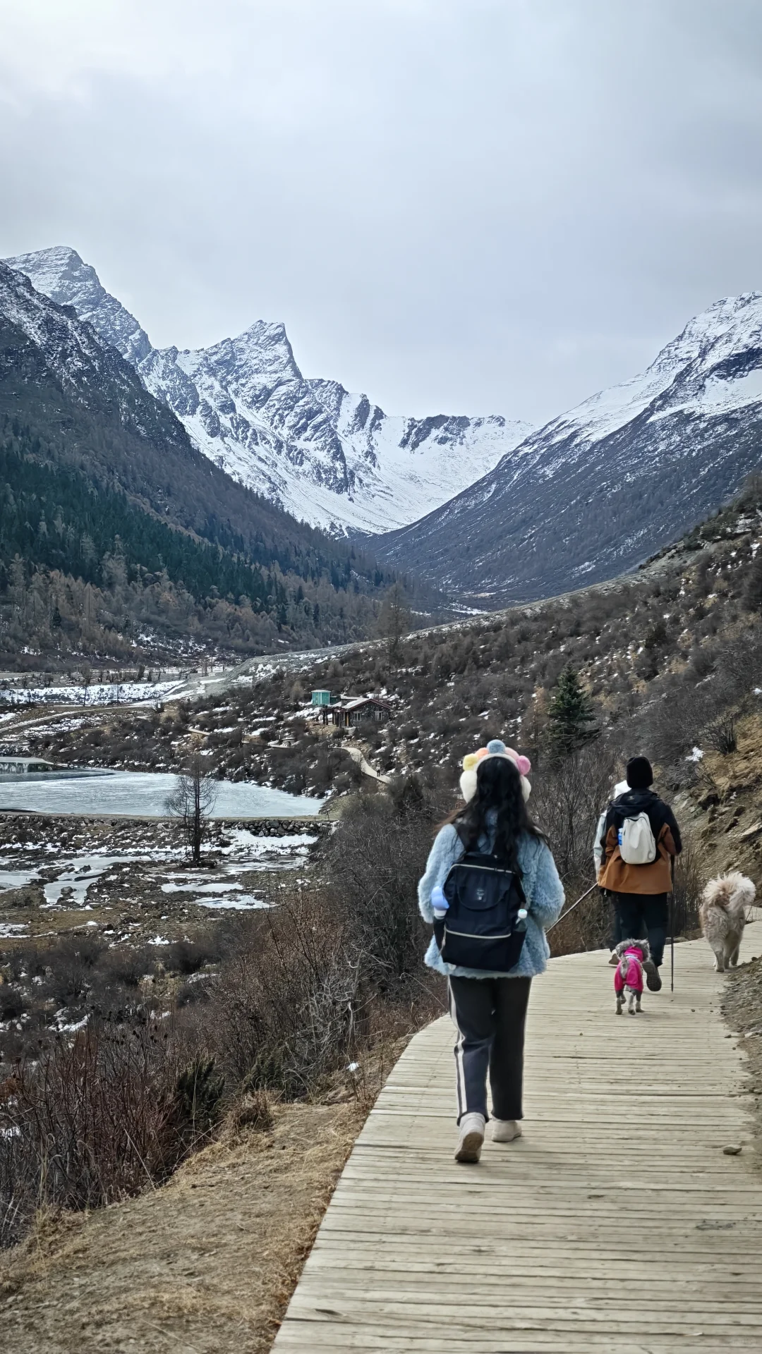 玛嘉沟才是带狗天堂吧