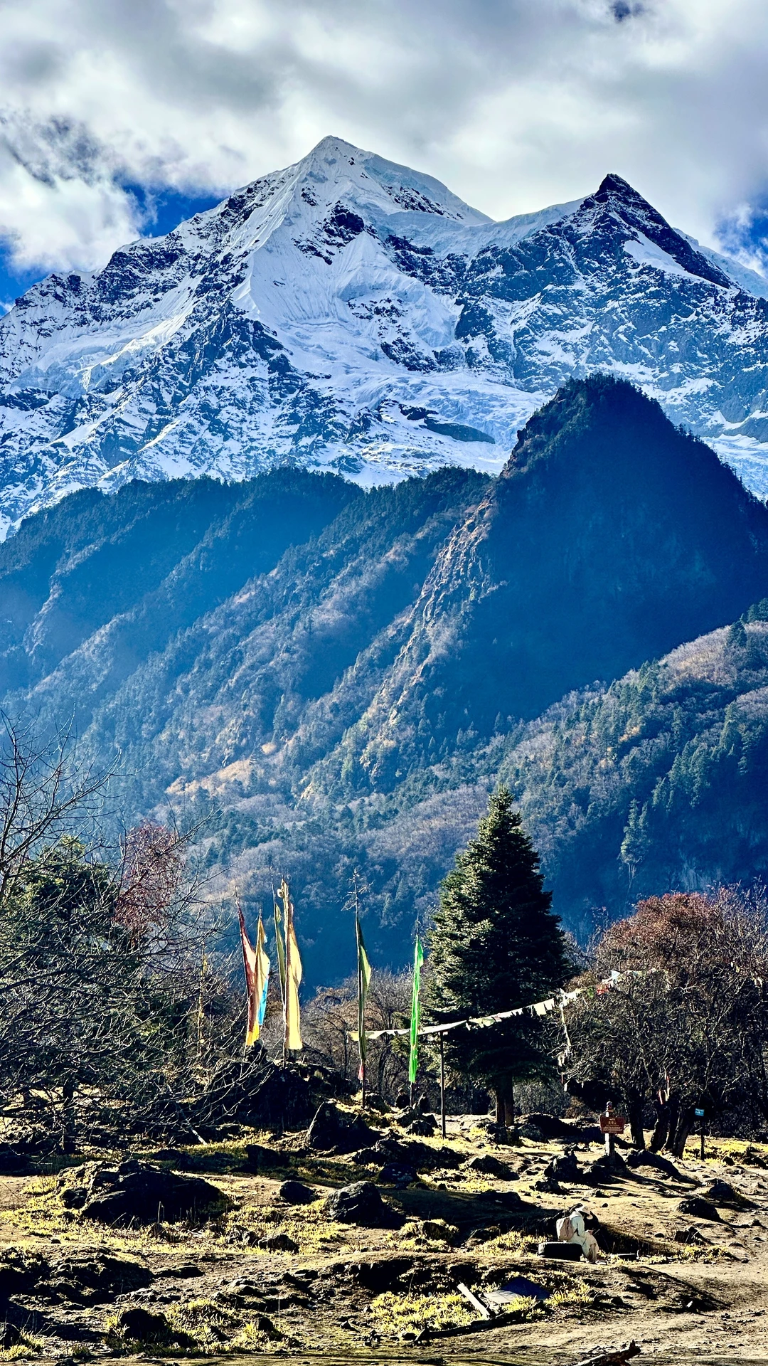 天堂在左👈……雨崩在右👉
