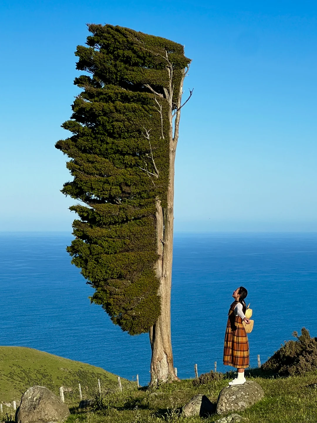 新西兰的每一帧🌈都让live图变得更有意义