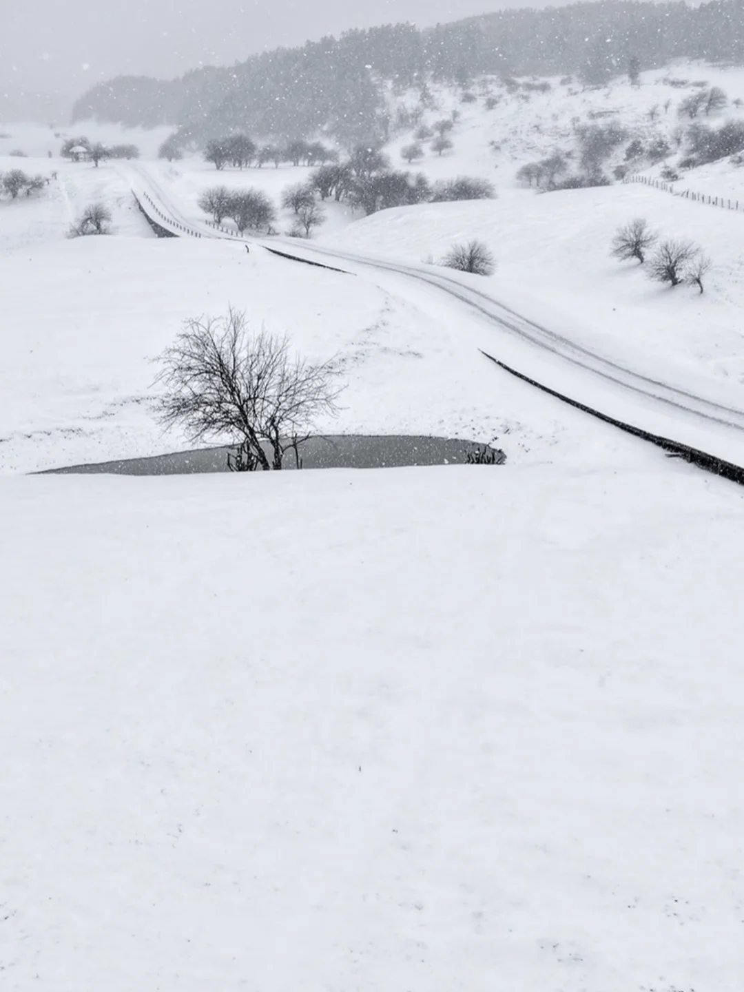 仙女山✘天生三桥 | 玩转冬日雪景+雾凇秘境