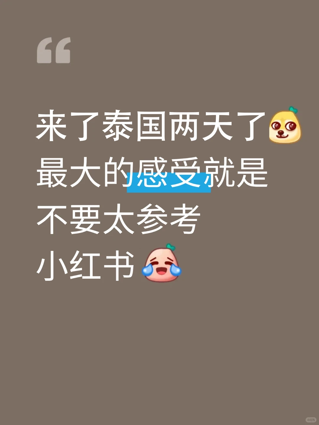 来了泰国才知道之前看的攻略有多无语…