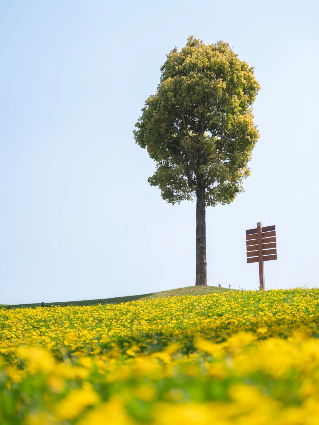 旅行四年，推荐⑧个适合一个人旅行的地方