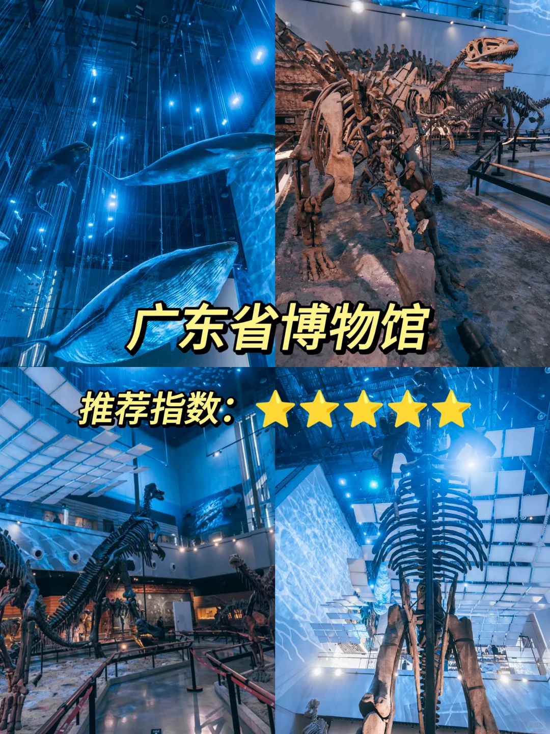 🔥广州亲子游｜景点讲解怎么选？