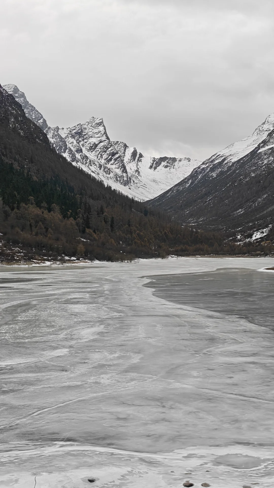 玛嘉沟才是带狗天堂吧