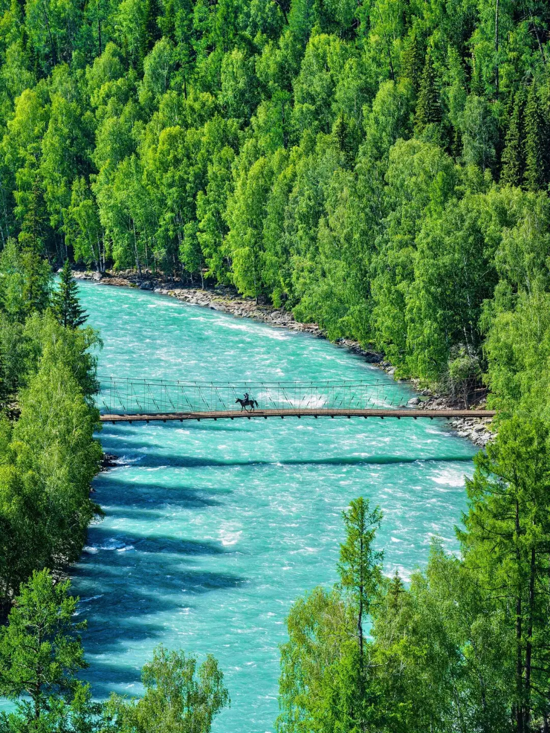 或许这就是你所向往的新疆旅游包车🫰