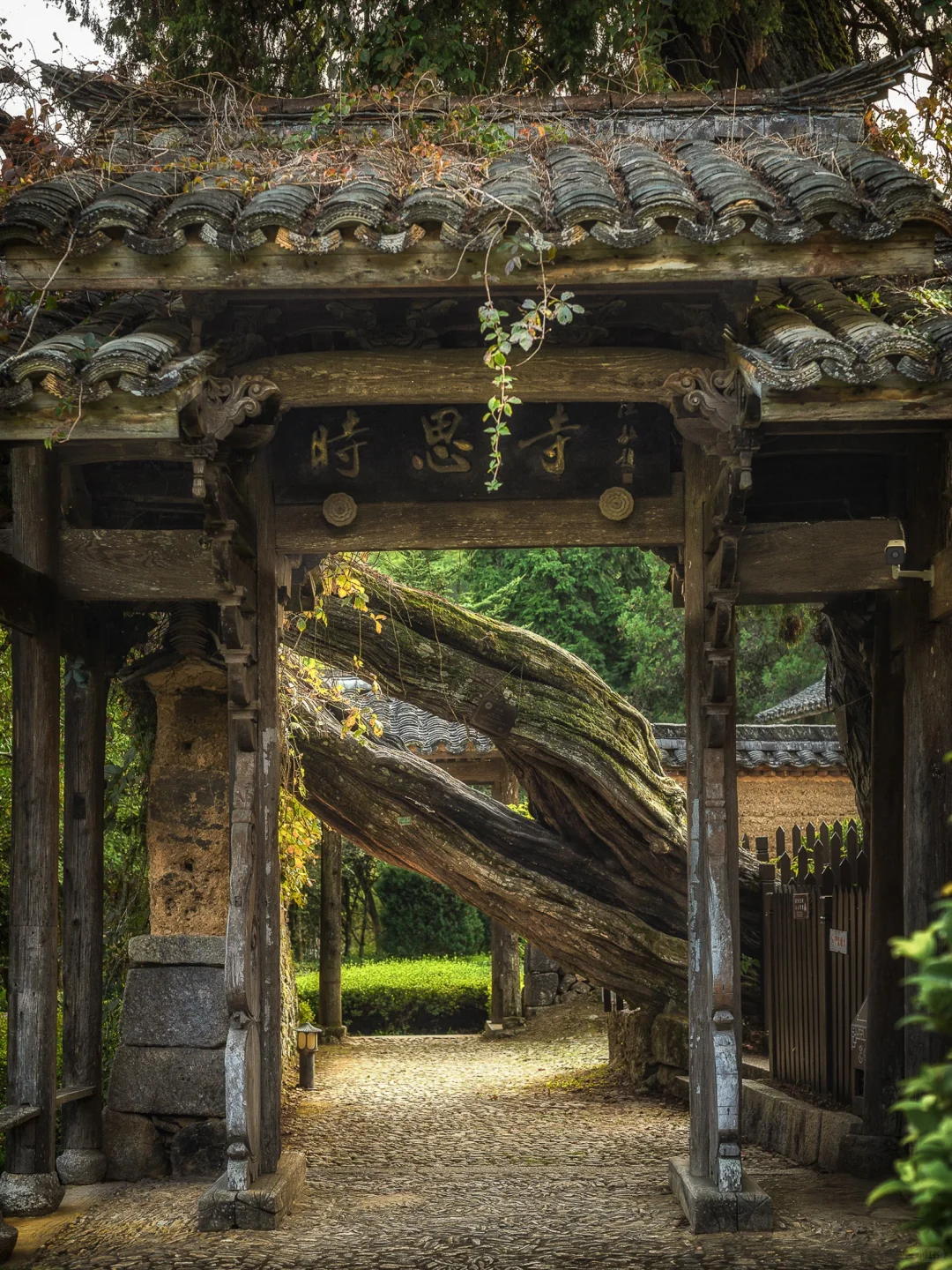 2023年，我去过的10个冷门又有趣的旅行地‼️