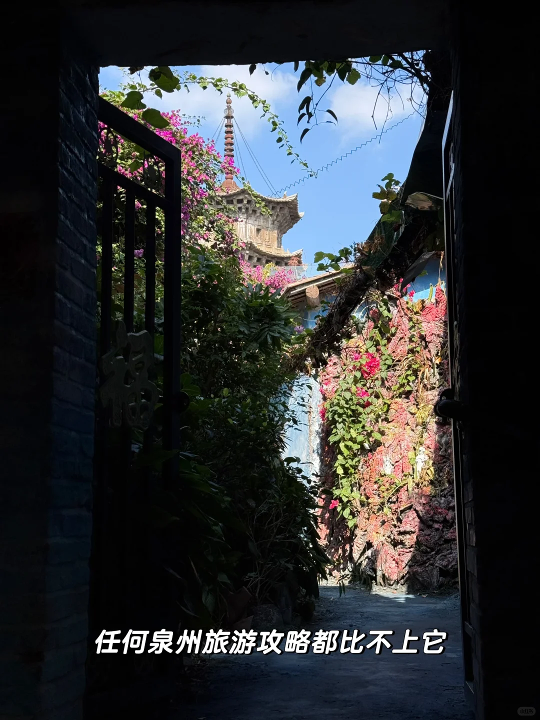 这是我来泉州旅游花的最值的一笔钱