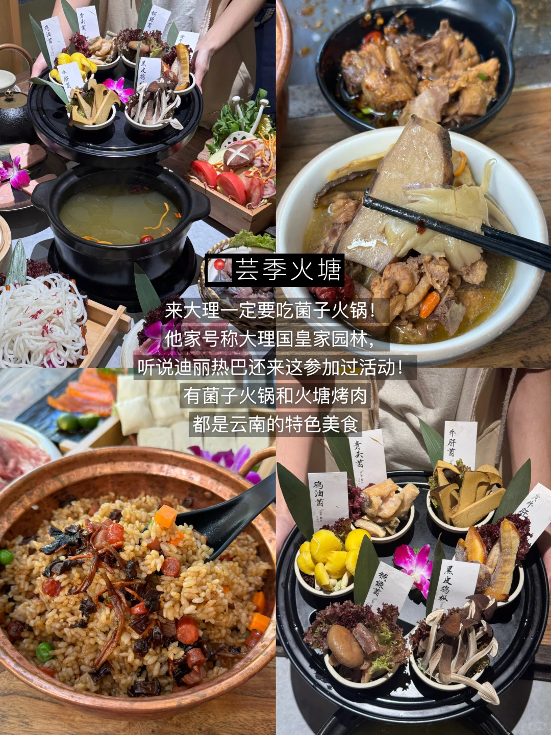 对自己的大理旅游攻略满意得睡不着。。。🥹