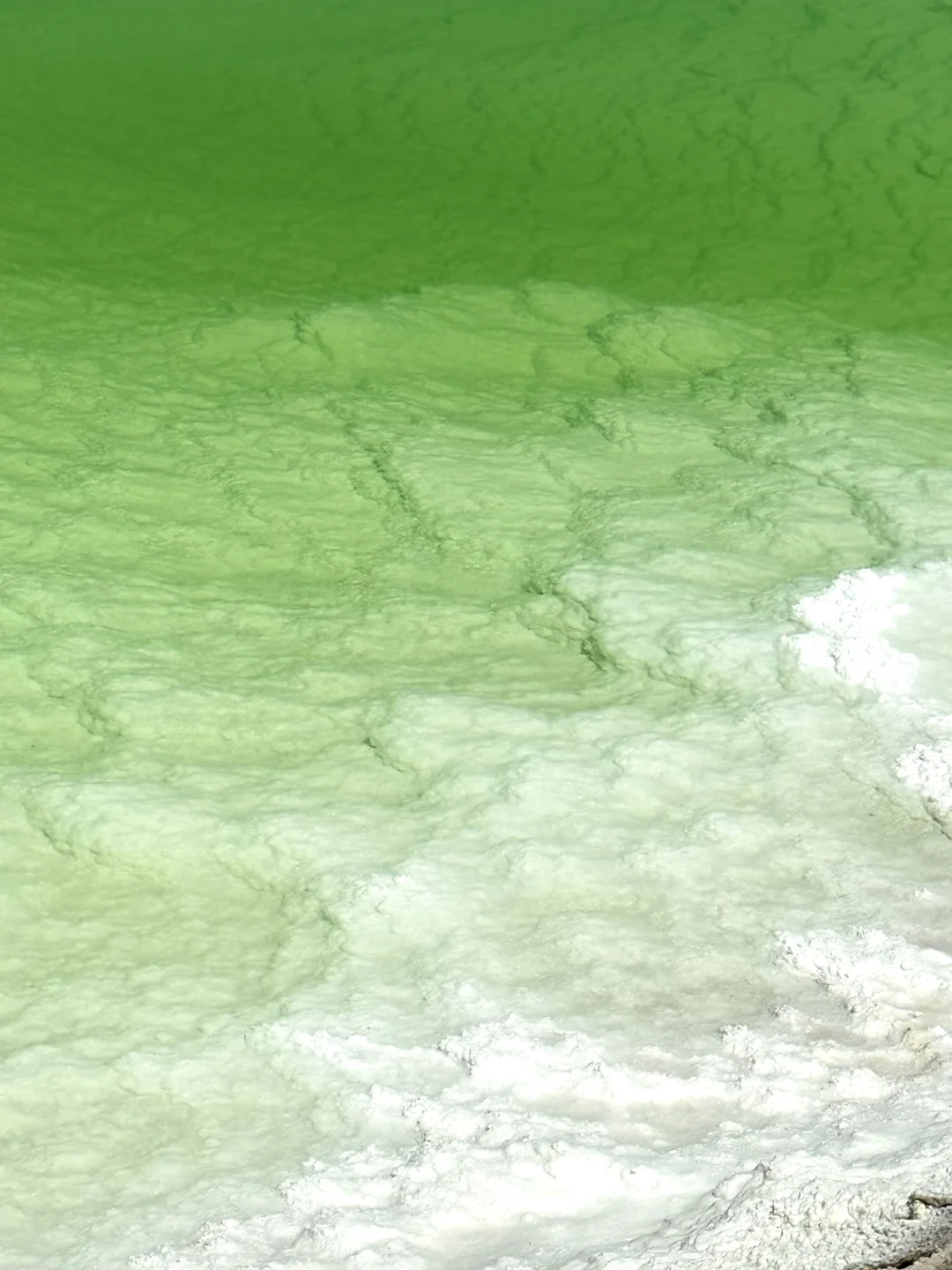 察尔汗盐湖|上帝打翻了青苹果汁🍏