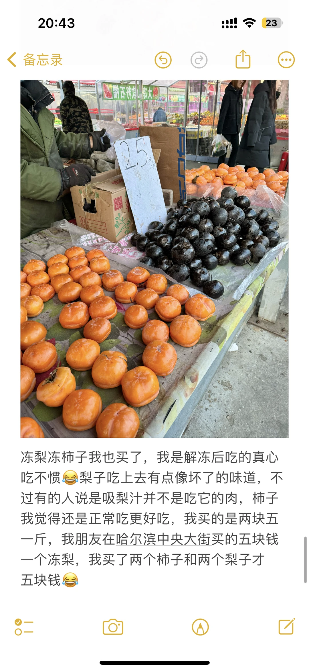 哈尔滨自由行攻略