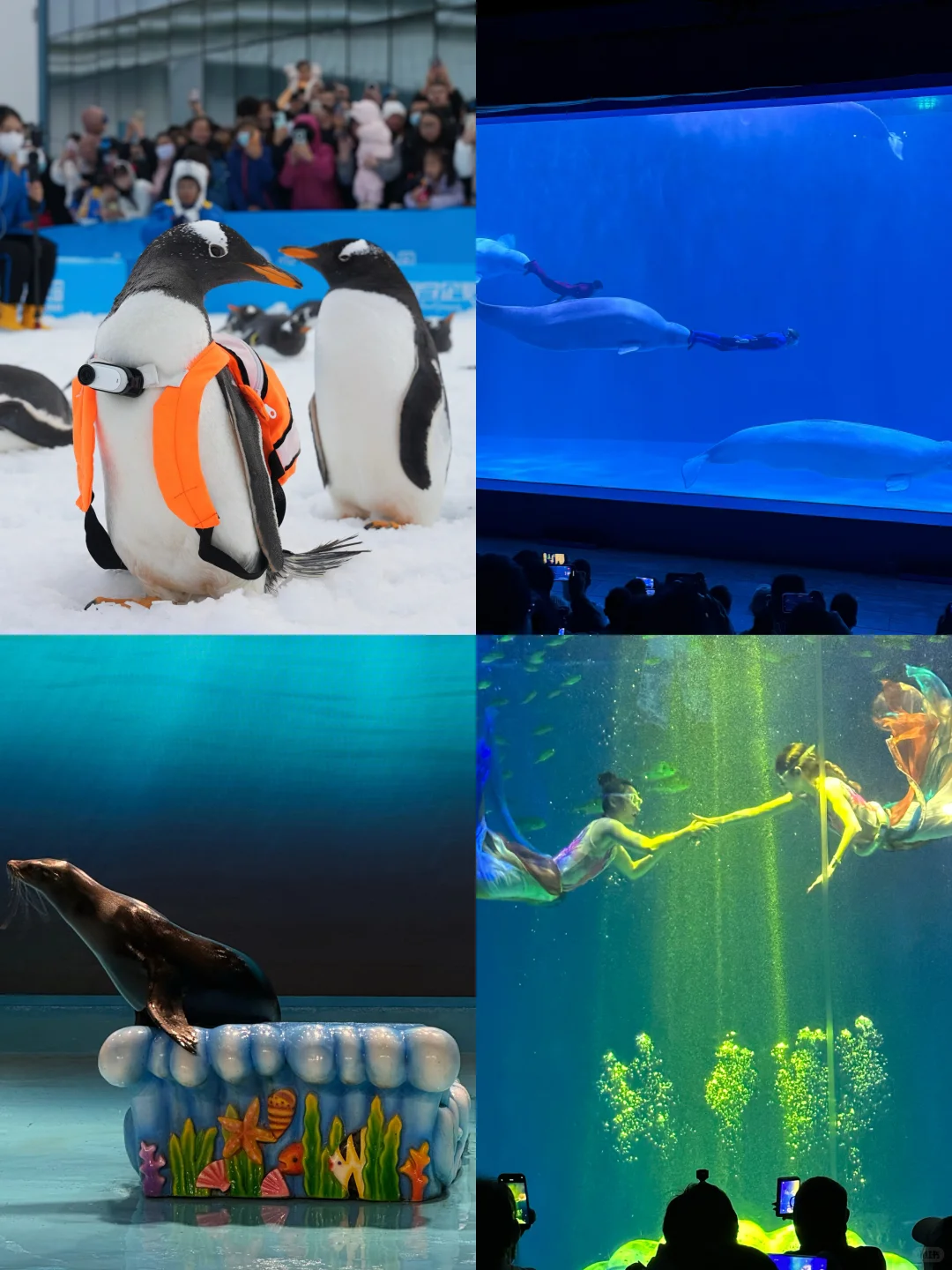 J人耗时6h整理的哈尔滨旅游攻略！（手绘版）