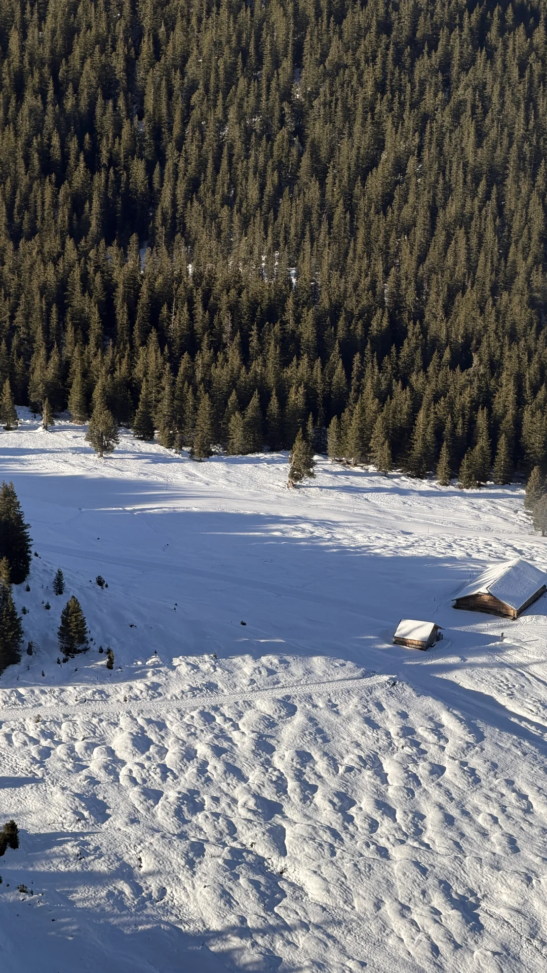 法意瑞12天✈️丨自由行保姆级攻略来啦！！