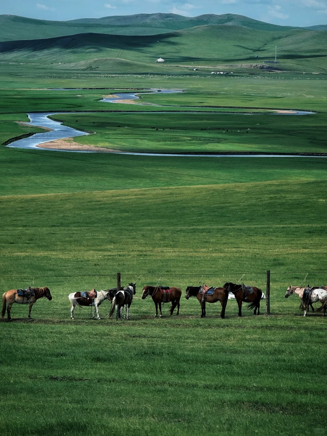 夏天总要去一次大草原吧🐎