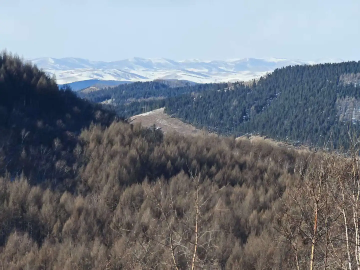 穿入林海，翻过雪原