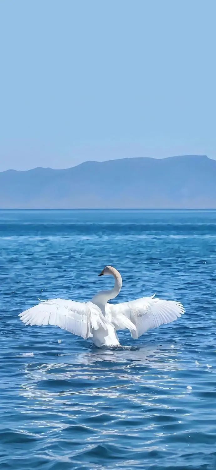 被誉为“大西洋的最后一滴眼泪”❤[点赞R]