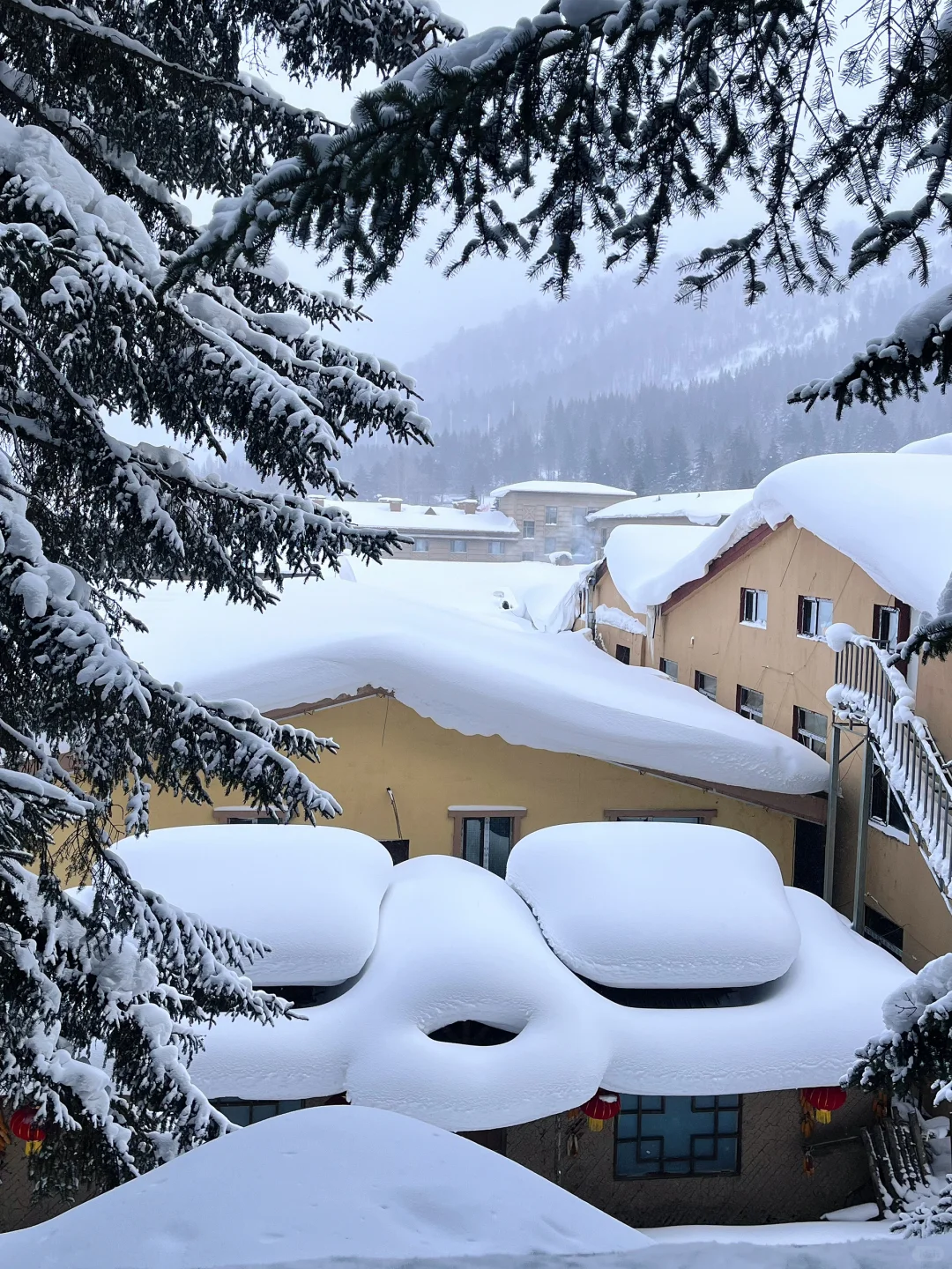 𝐗𝐮𝐞 𝐗𝐢𝒂𝐧𝐠 雪乡