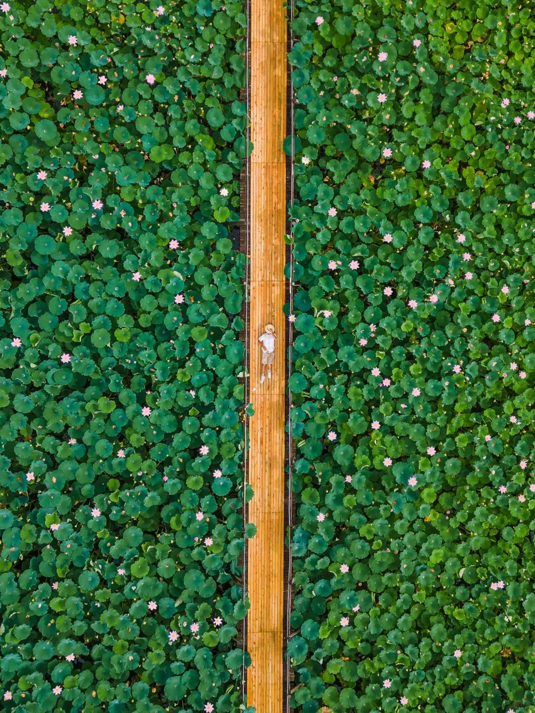 2023年，我去过的10个冷门又有趣的旅行地‼️