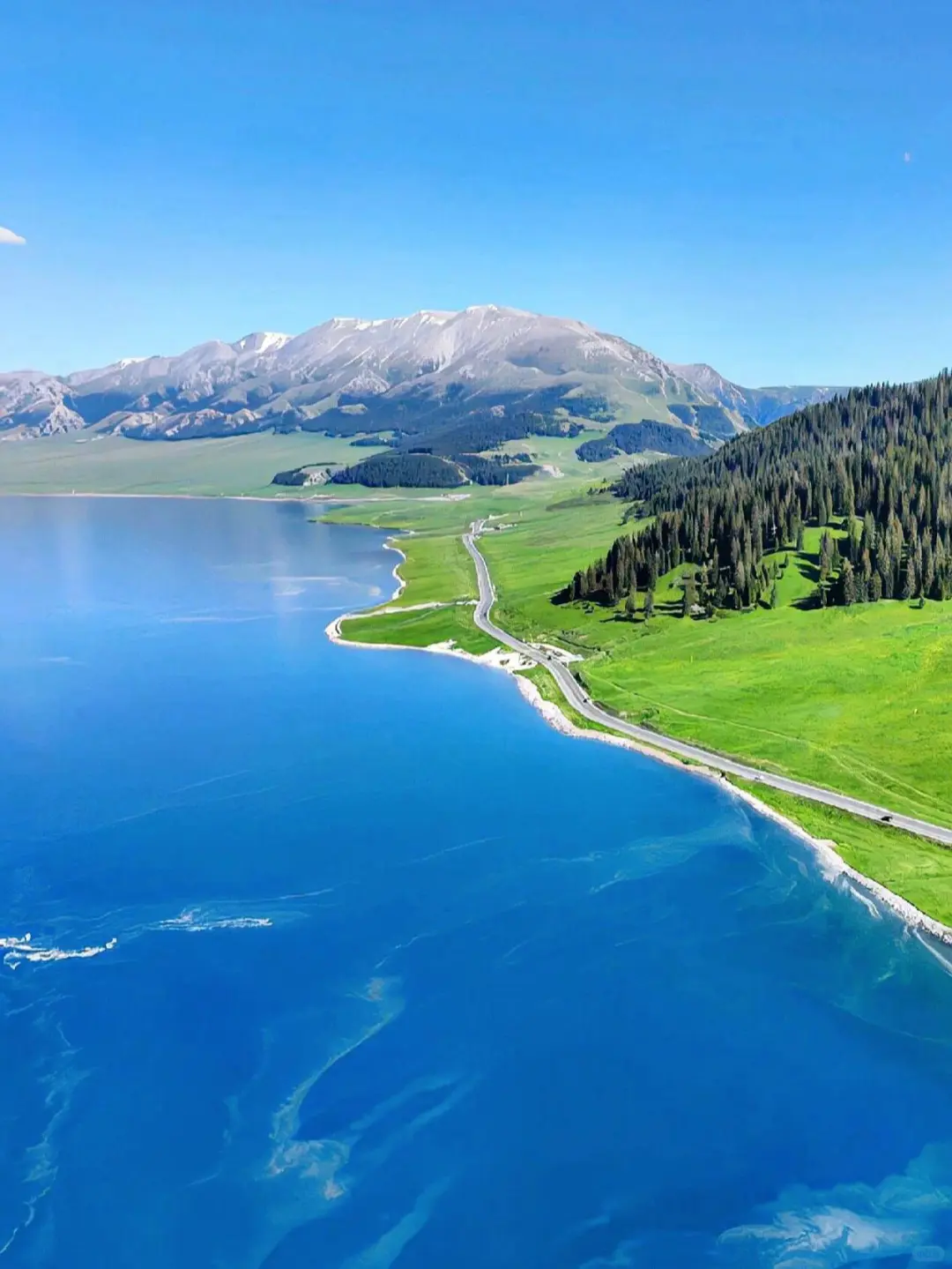 或许这就是你所向往的新疆旅游包车🫰