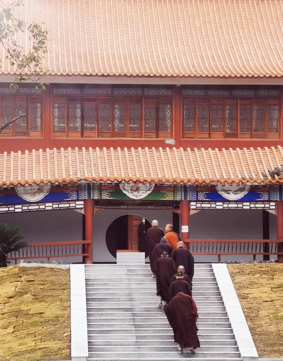 武汉徒步被问爆的小众治愈路线🌿古寺灵树