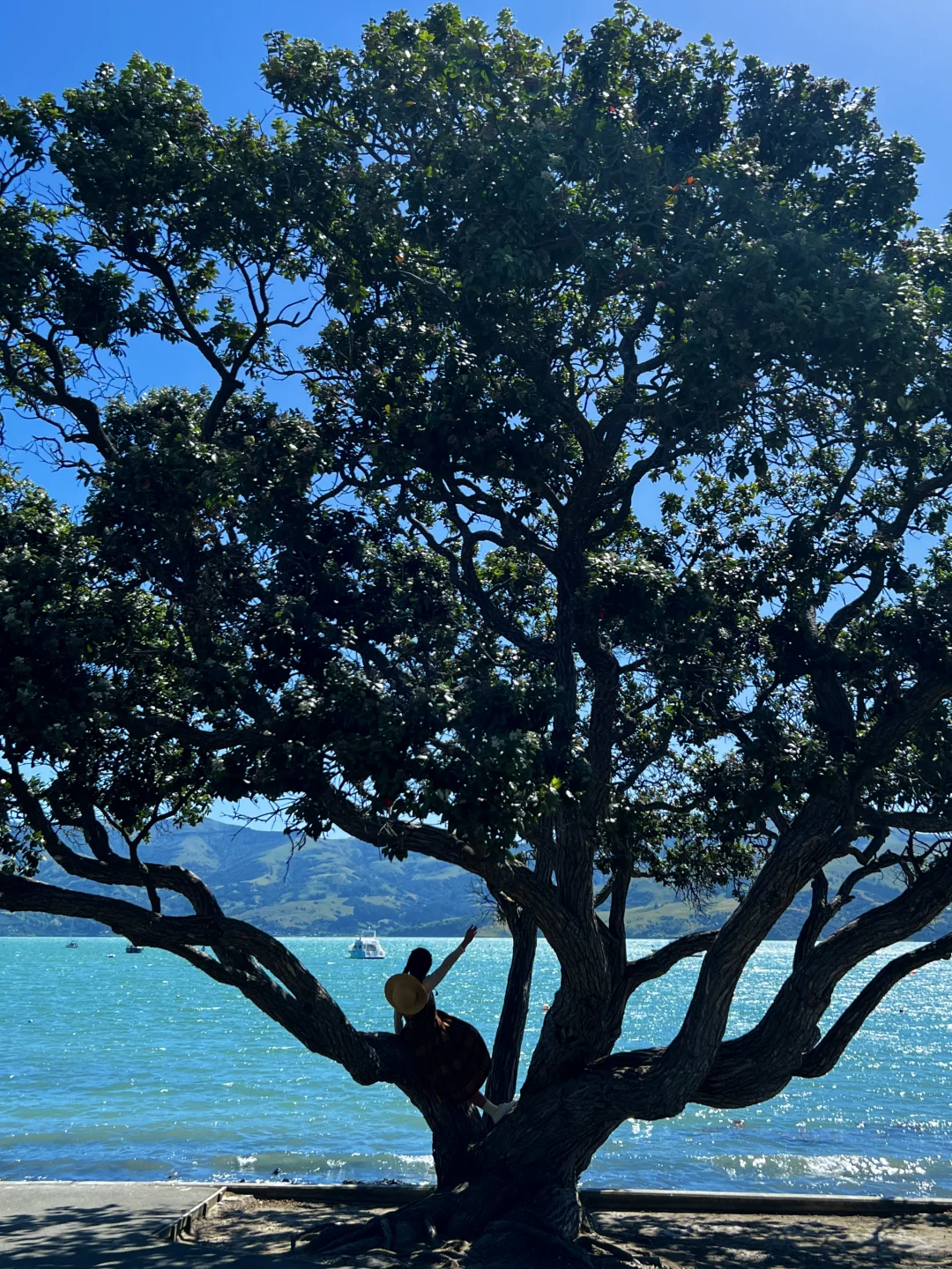 新西兰的每一帧🌈都让live图变得更有意义