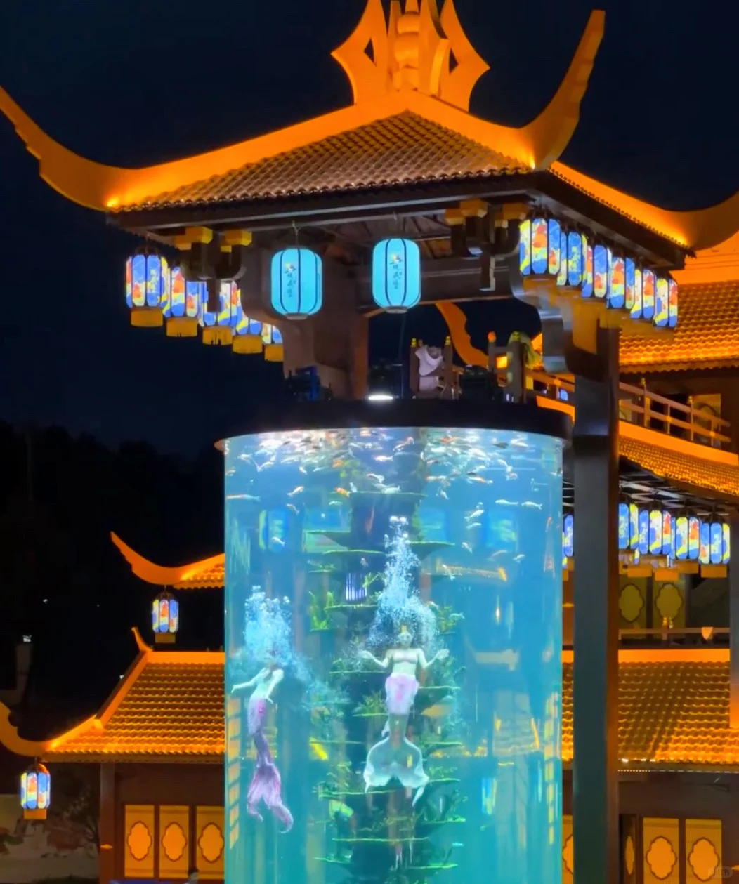 没去浏阳，在嘉鱼看百万烟花秀🎇