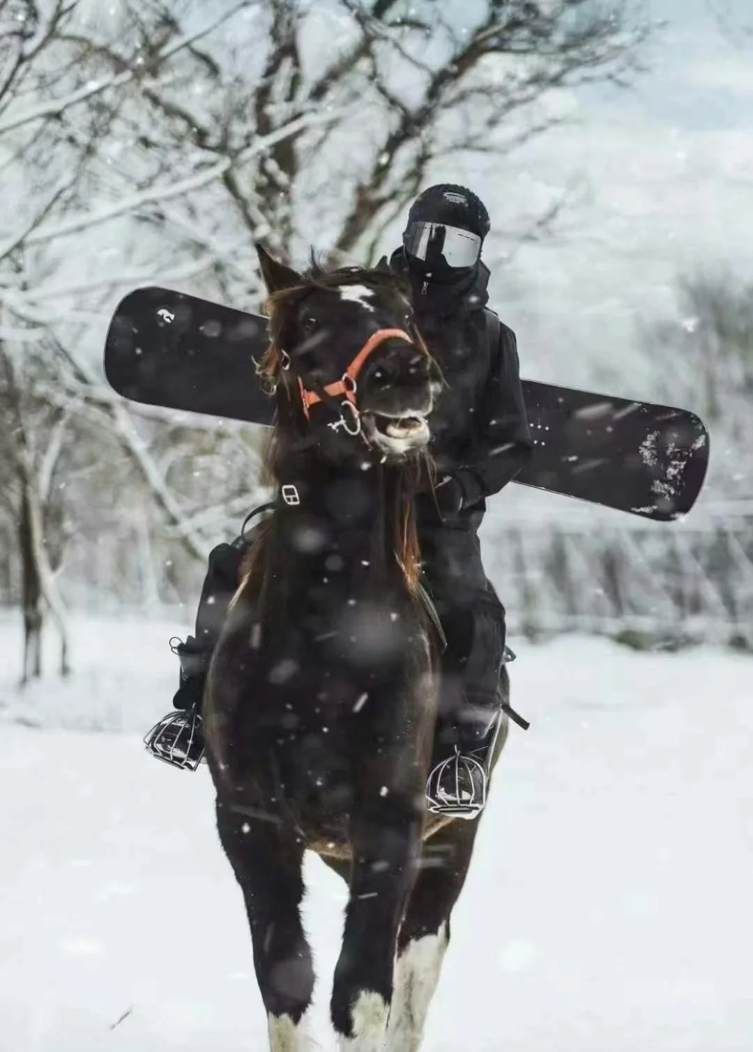 哈尔滨旅游推荐官、哈尔滨旅游攻略