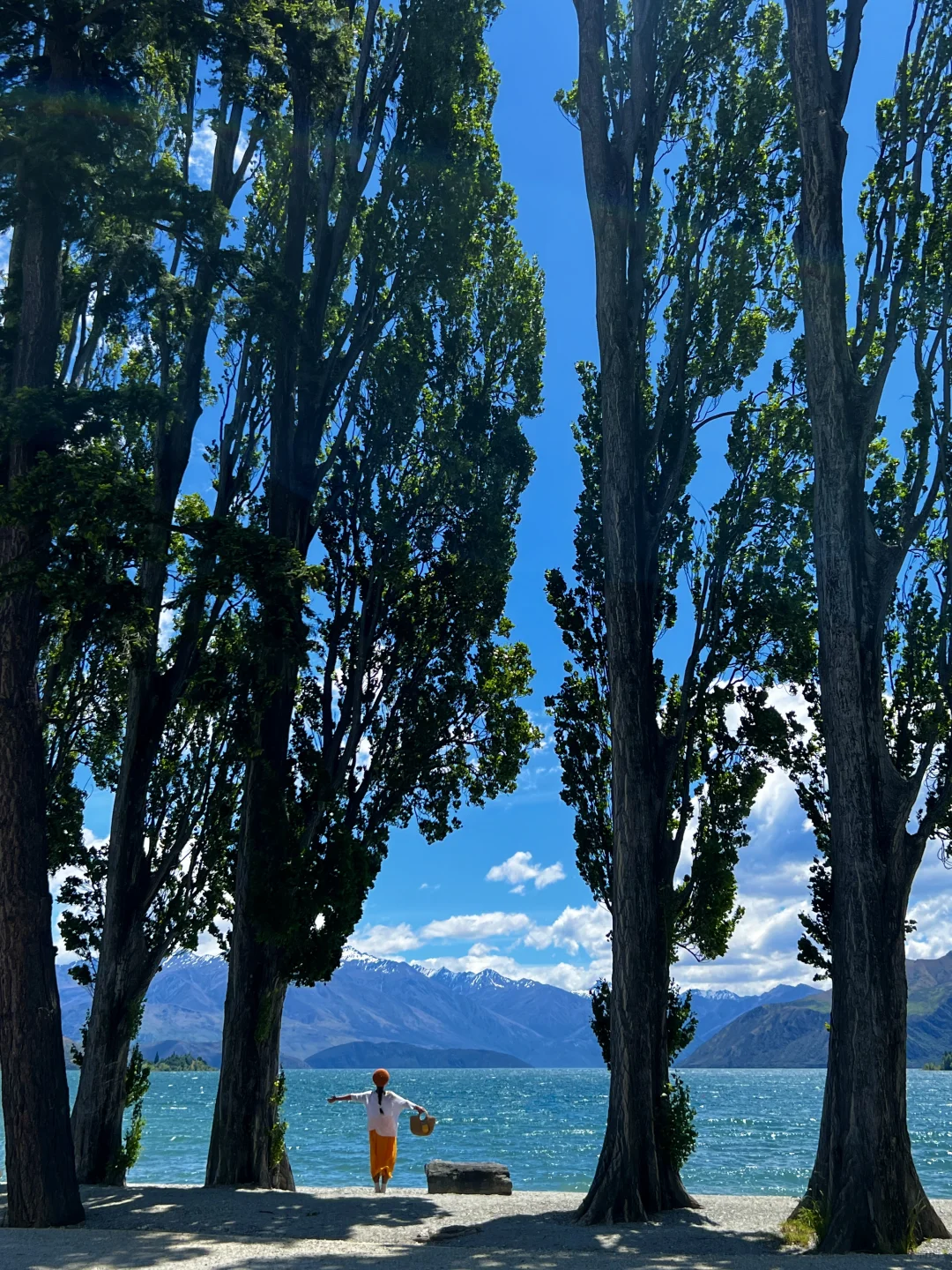 新西兰的每一帧🌈都让live图变得更有意义