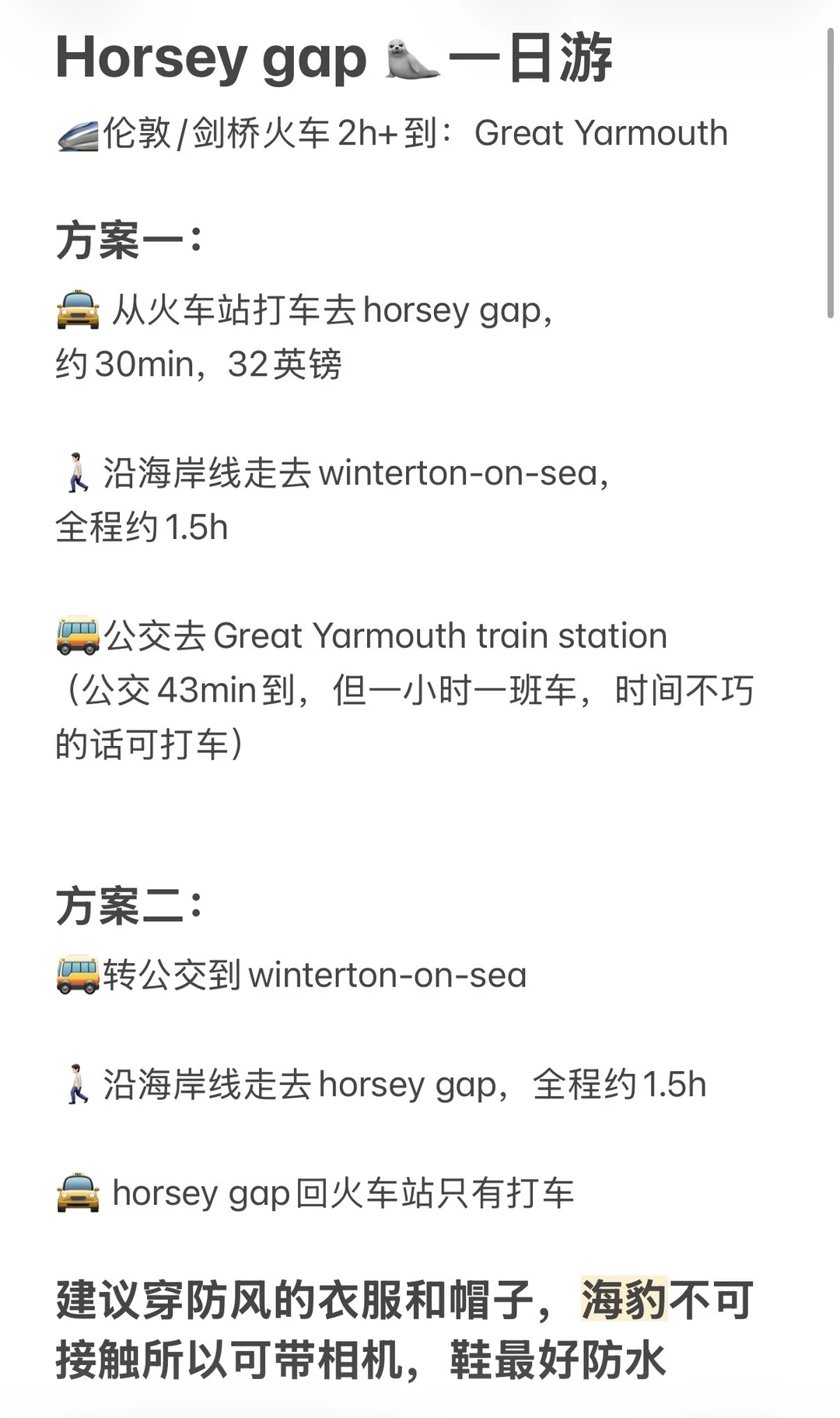 又到英国一年一度看野生小海豹时📍附攻略