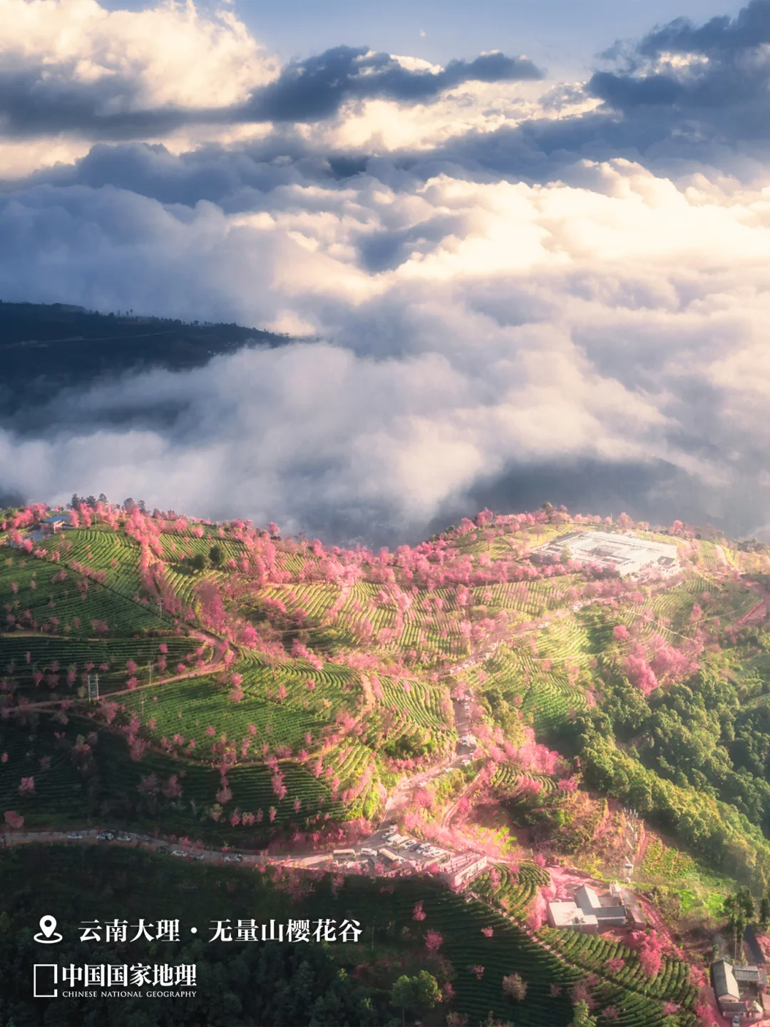 12月最应该去哪里旅行？