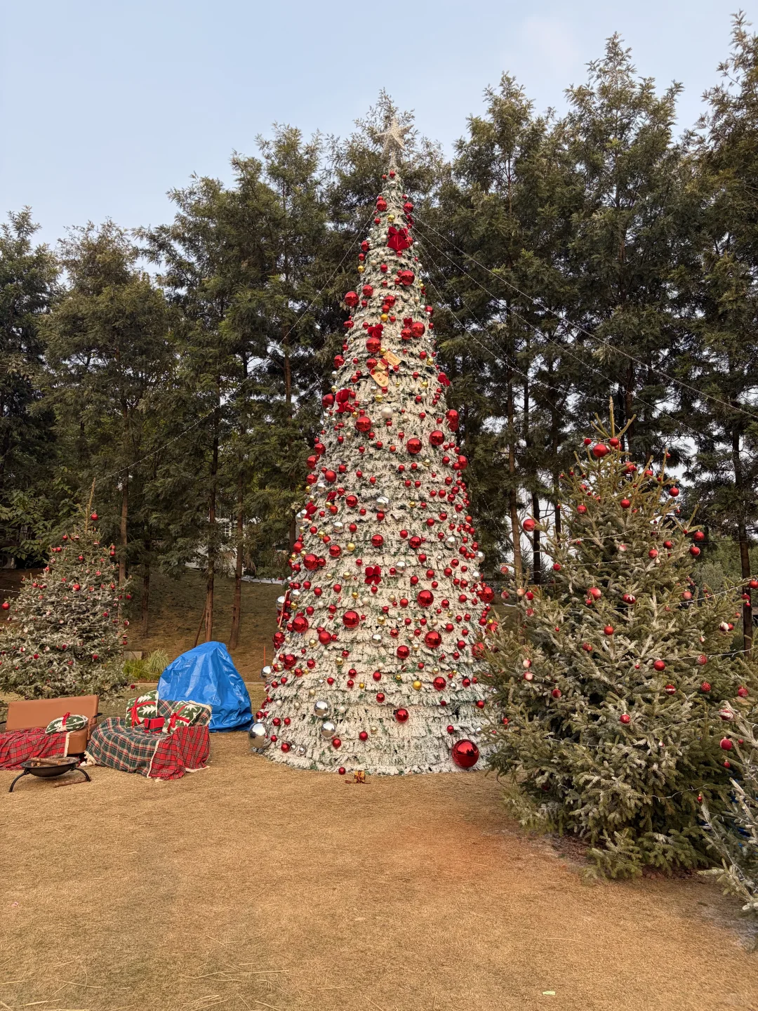 妈妈 快上车，我载你呀！