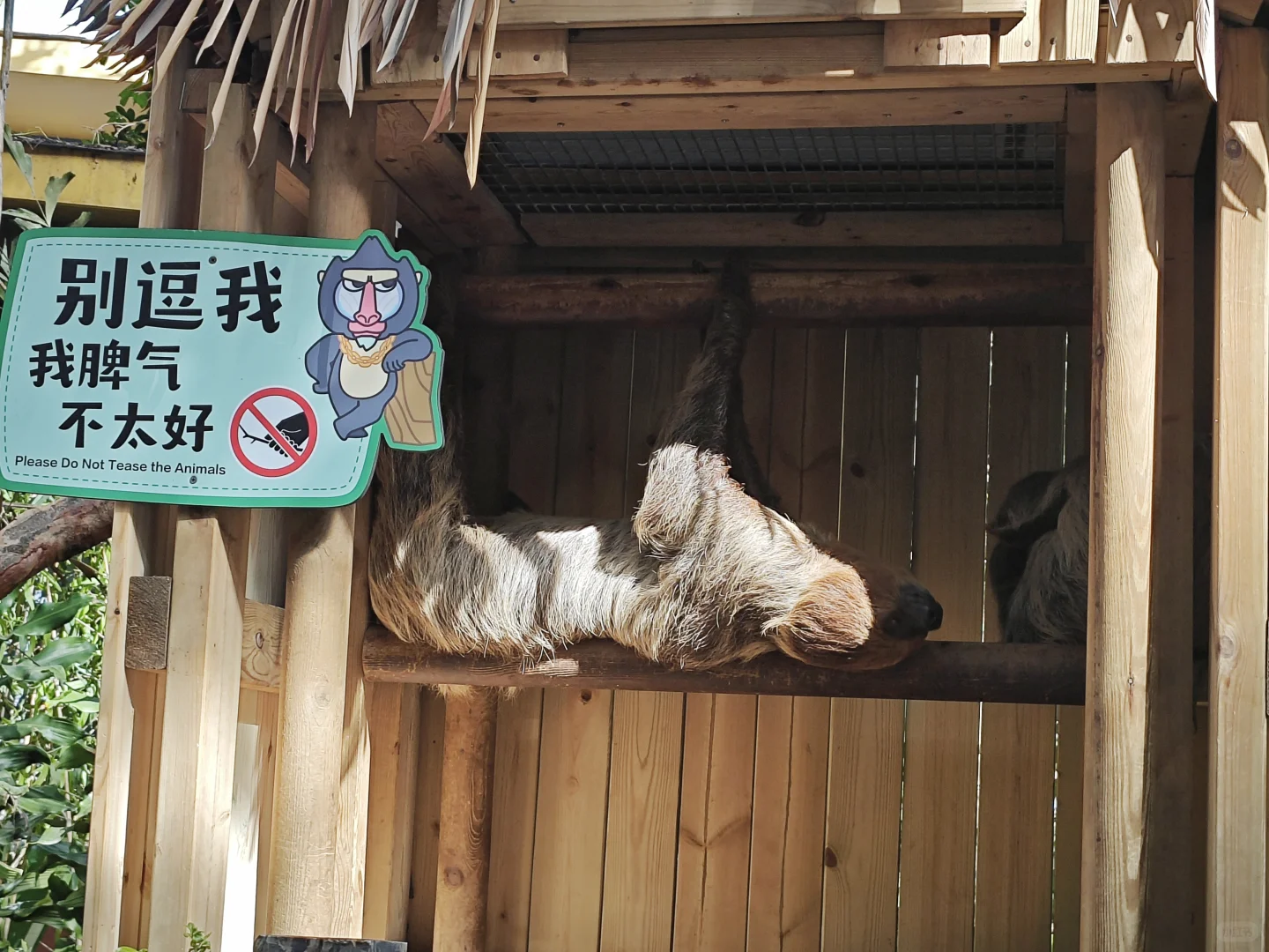 黄金年卡二十三刷长隆野生动物世界