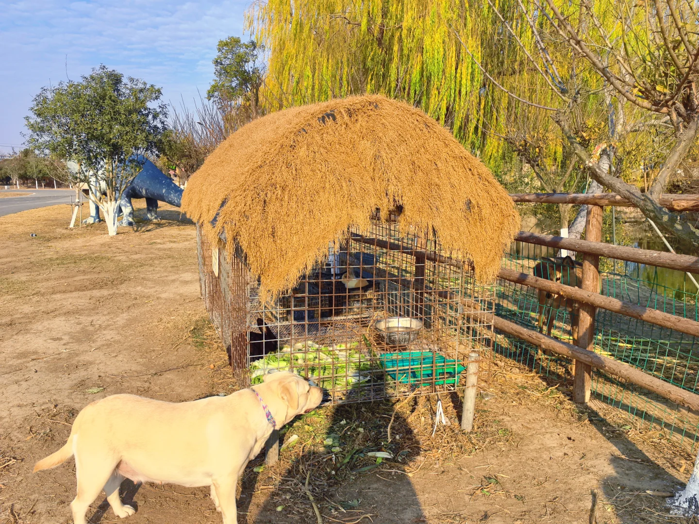 杭州开车1.5h的景区|太适合遛娃遛狗啦