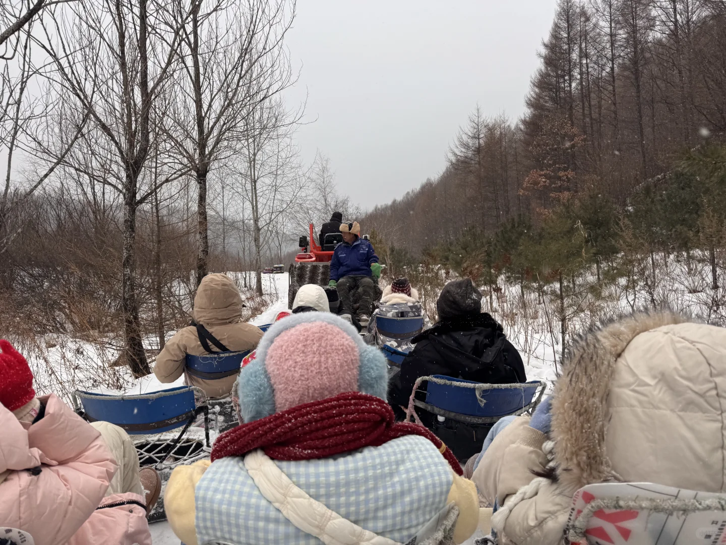 横道河子南方小土豆必冲