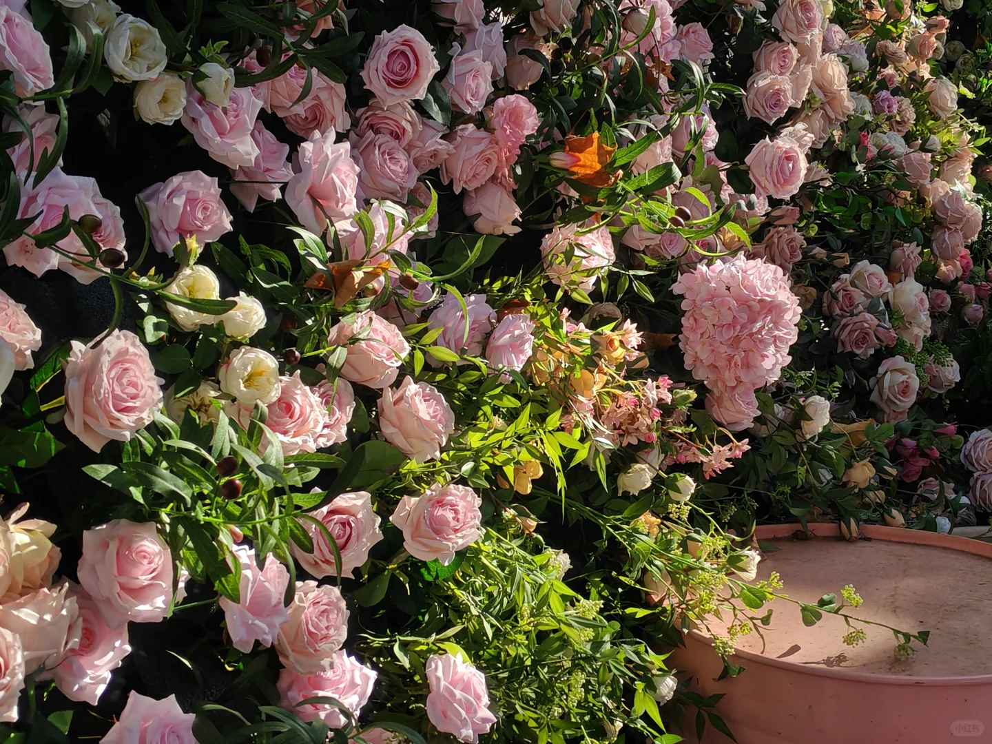 今天的天津有亿点好看