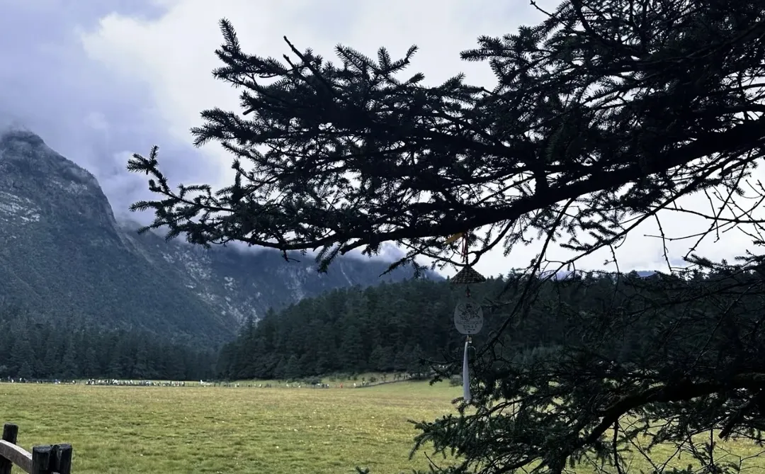 玉龙雪山一日游 日照金山+冰川公园+云杉坪