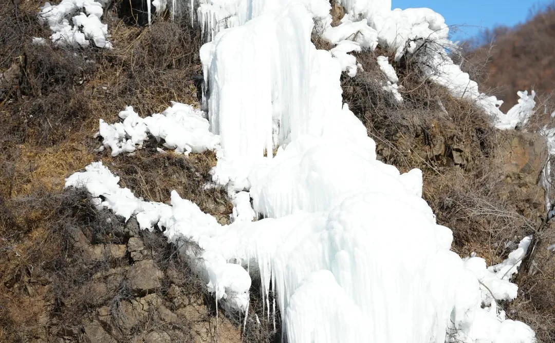 北京遛狗党!玉渡山玩雪太快乐了