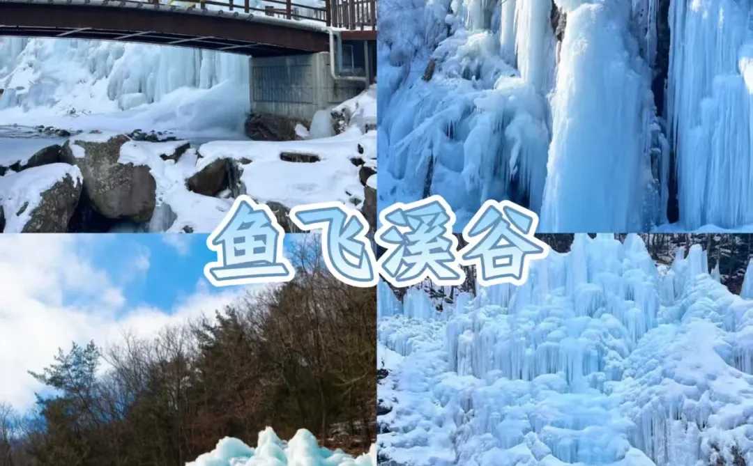 韩国冬季限定｜三个必打卡景点｜首尔往返