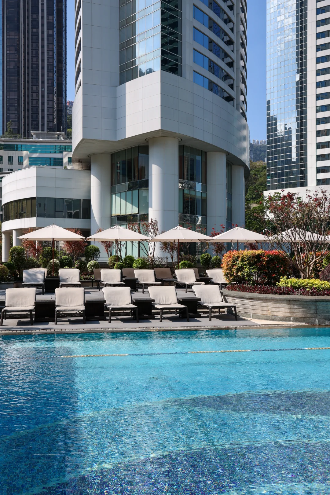 带娃暴走香港圣诞🎄必打卡点攻略✅